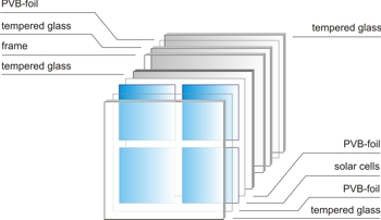 Transparent module